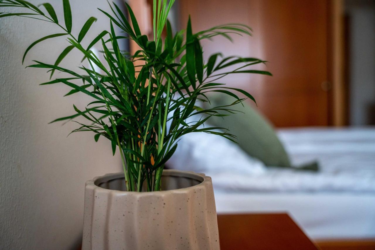 Lagoja B&B Trzin Εξωτερικό φωτογραφία